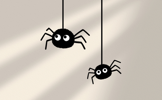 Peppermint Oil Spider Repellent